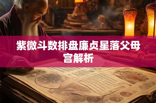 紫微斗数排盘廉贞星落父母宫解析