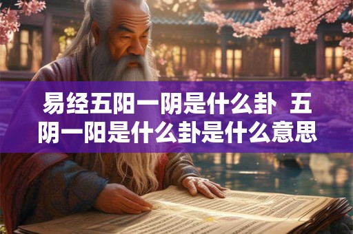 易经五阳一阴是什么卦  五阴一阳是什么卦是什么意思