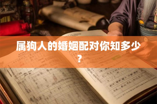 属狗人的婚姻配对你知多少？