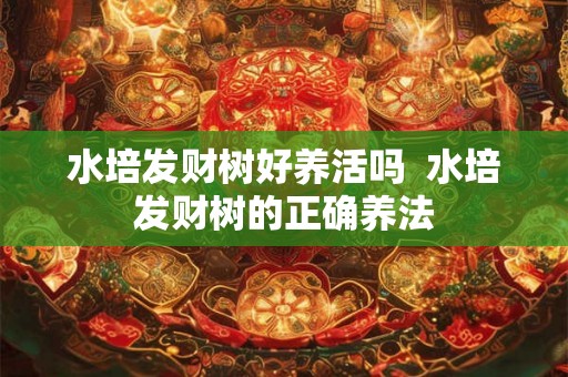 水培发财树好养活吗  水培发财树的正确养法