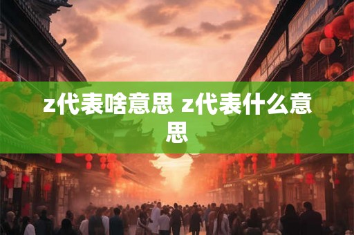 z代表啥意思 z代表什么意思