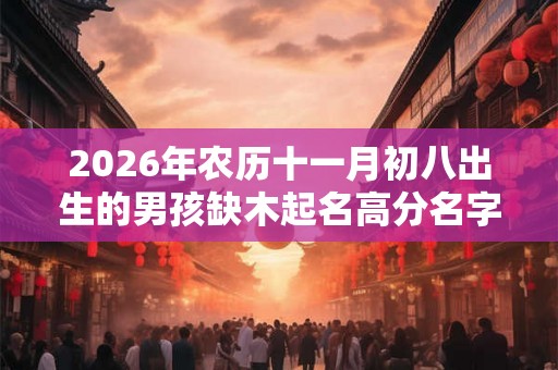2026年农历十一月初八出生的男孩缺木起名高分名字大全