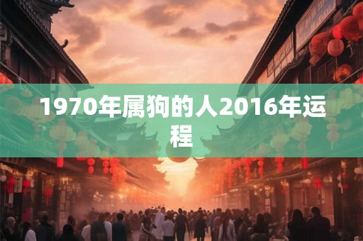 1970年属狗的人2016年运程