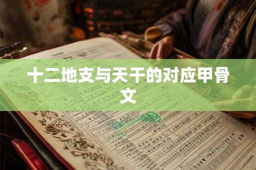 十二地支与天干的对应甲骨文