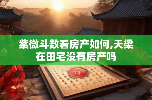 紫微斗数看房产如何,天梁在田宅没有房产吗