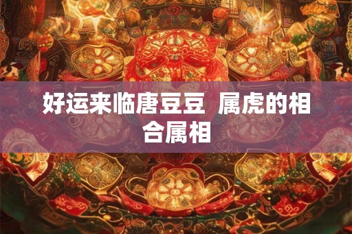 好运来临唐豆豆  属虎的相合属相