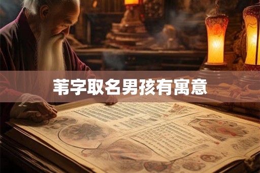 苇字取名男孩有寓意