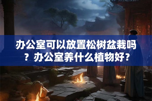 办公室可以放置松树盆栽吗？办公室养什么植物好？