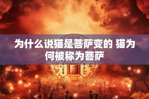 为什么说猫是菩萨变的 猫为何被称为菩萨