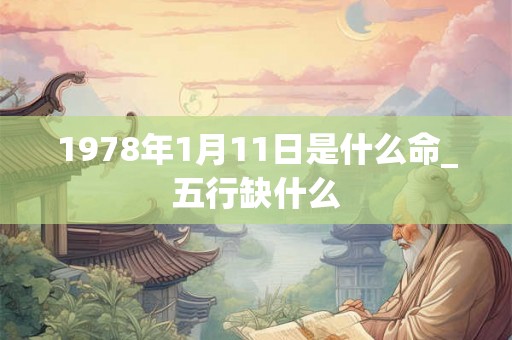 1978年1月11日是什么命_五行缺什么