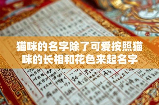 猫咪的名字除了可爱按照猫咪的长相和花色来起名字 猫咪的名字除了可爱按照猫咪的长相和花色来起名字