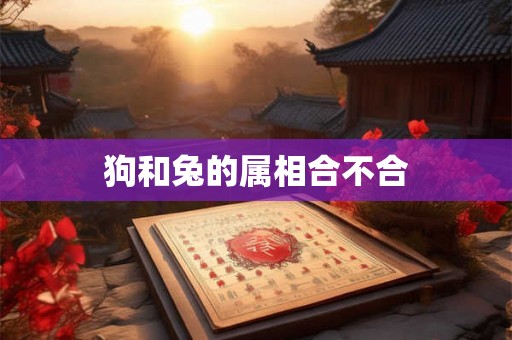 狗和兔的属相合不合 狗和兔的属相合不合