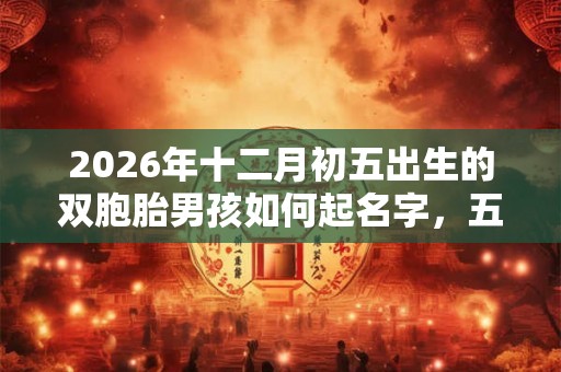2026年十二月初五出生的双胞胎男孩如何起名字，五行属什么