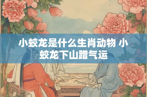 小蛟龙是什么生肖动物 小蛟龙下山蹭气运