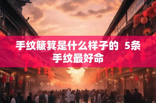 手纹簸箕是什么样子的  5条手纹最好命