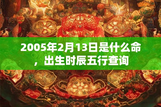 2005年2月13日是什么命，出生时辰五行查询