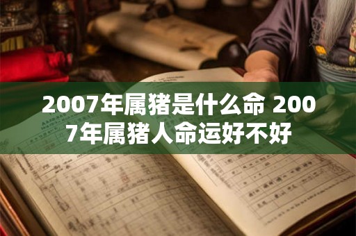 2007年属猪是什么命 2007年属猪人命运好不好