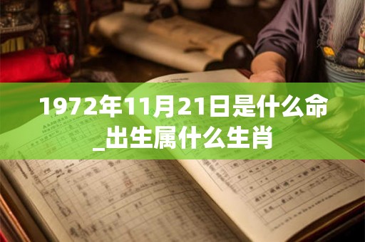 1972年11月21日是什么命_出生属什么生肖