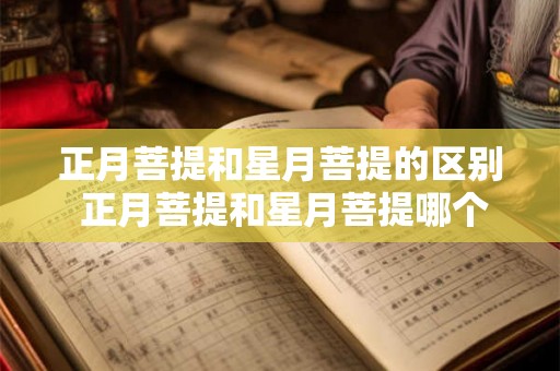 正月菩提和星月菩提的区别 正月菩提和星月菩提哪个好 正月菩提和星月菩提的区别 正月菩提和星月菩提哪个好