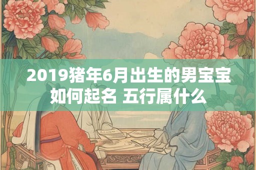 2019猪年6月出生的男宝宝如何起名 五行属什么