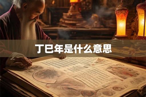 丁巳年是什么意思