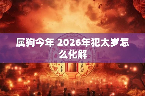 属狗今年 2026年犯太岁怎么化解
