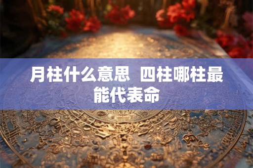 月柱什么意思 四柱哪柱最能代表命 月柱什么意思 四柱哪柱最能代表命