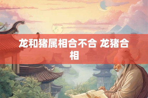 龙和猪属相合不合 龙猪合相