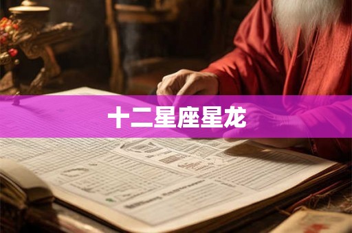 十二星座星龙