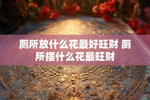 厕所放什么花最好旺财 厕所摆什么花最旺财 厕所放什么花最好旺财 厕所摆什么花最旺财