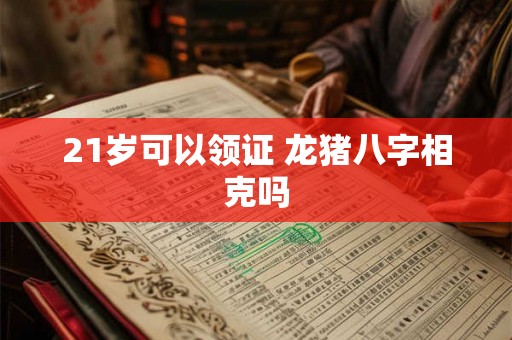 21岁可以领证 龙猪八字相克吗