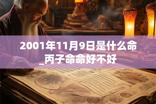 2001年11月9日是什么命_丙子命命好不好 2001年11月9日是什么命_丙子命命好不好