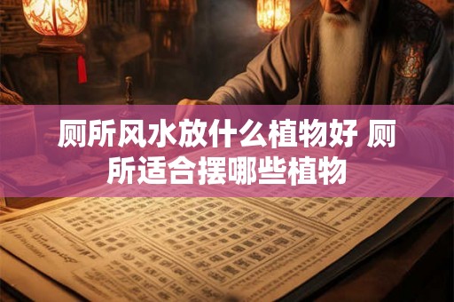厕所风水放什么植物好 厕所适合摆哪些植物