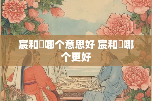 宸和莀哪个意思好 宸和莀哪个更好 宸和莀哪个意思好 宸和莀哪个更好