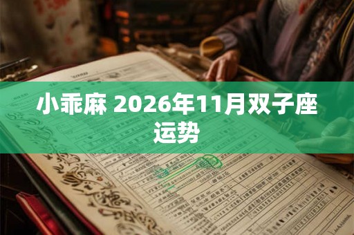 小乖麻 2026年11月双子座运势