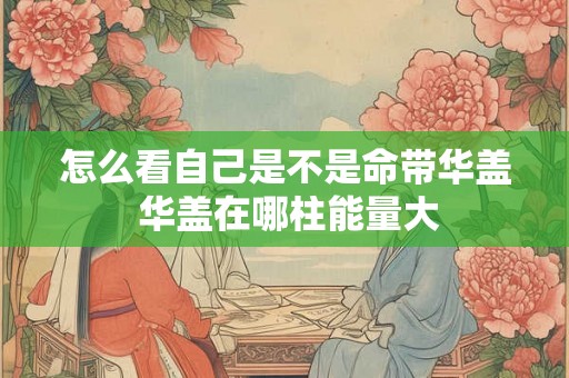 怎么看自己是不是命带华盖 华盖在哪柱能量大