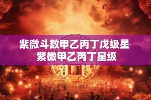 紫微斗数甲乙丙丁戊级星  紫微甲乙丙丁星级