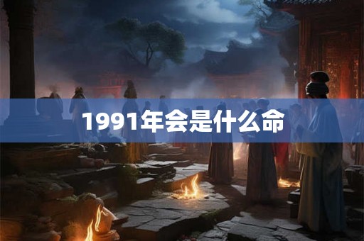 1991年会是什么命