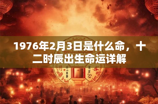 1976年2月3日是什么命，十二时辰出生命运详解