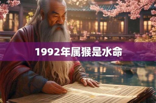 1992年属猴是水命