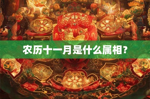 农历十一月是什么属相？