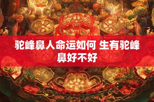 驼峰鼻人命运如何 生有驼峰鼻好不好