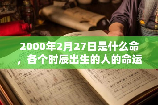 2000年2月27日是什么命，各个时辰出生的人的命运