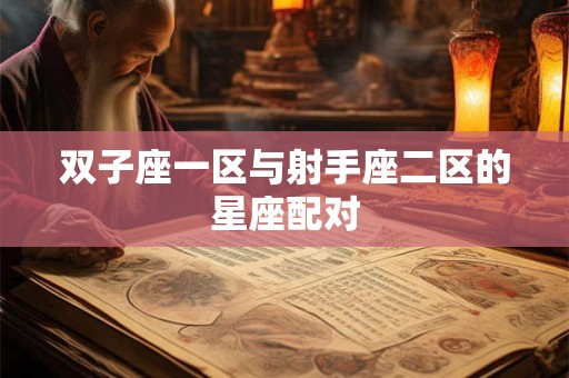 双子座一区与射手座二区的星座配对
