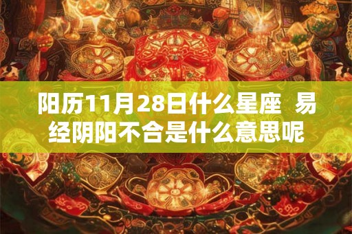 阳历11月28日什么星座  易经阴阳不合是什么意思呢