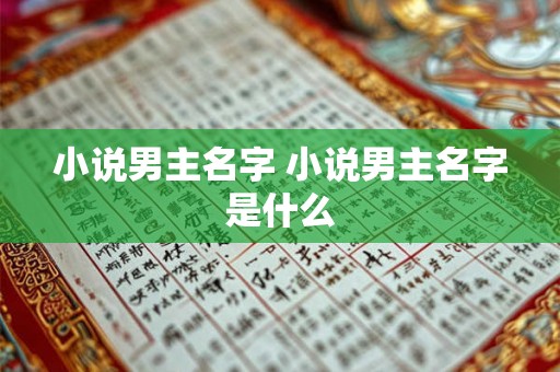 小说男主名字 小说男主名字是什么 小说男主名字 小说男主名字是什么