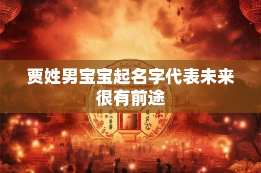 贾姓男宝宝起名字代表未来很有前途