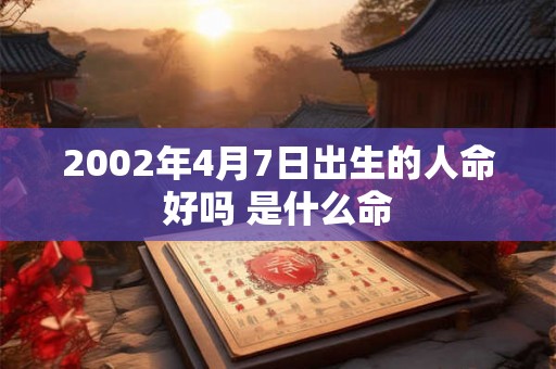 2002年4月7日出生的人命好吗 是什么命