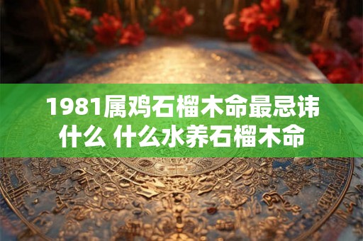 1981属鸡石榴木命最忌讳什么 什么水养石榴木命