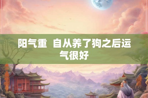 阳气重 自从养了狗之后运气很好 阳气重 自从养了狗之后运气很好